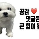 역전우동인천 이미지