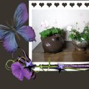 크로키아 이미지