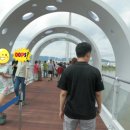 강촌스카이 이미지