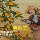 귤익는 마을 이미지