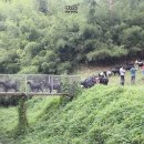 이영미농장 이미지