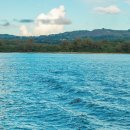 돌핀 | 괌 돌핀크루즈 후기 괌 돌고래 투어 추천