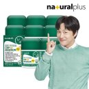 하이초도 이미지