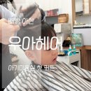 상어PC | 배방 아기미용실 우아헤어 다녀온 내돈내산 후기