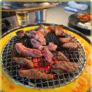 신마포 갈매기 이미지