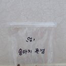 러브앤펫 이미지