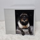 봉이하우스 | 독톡 DIY 강아지하우스 직접 조립하는 강아지집 실사용 리뷰