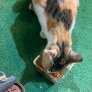 데스커 워케이션 스테이 이미지