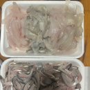 삼천포회센타 | [사천/삼천포] 삼천포 용궁수산시장 회센터 활어 종현상회 방문 후기