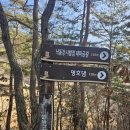 낙동강원시비경탐방로 이미지