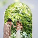 더모스트비이민박 | W. 극J 예신의 그리너리한 세미 웨딩 촬영 스튜디오 고르기, 추가금 방어 견적 공유