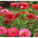 강화바다 이미지