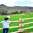 진산목장 이미지