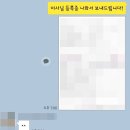 렌트나라