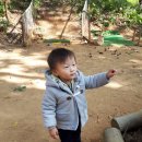 아콘유아숲체험원 이미지