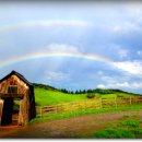 서림초등학교 정문 앞 이미지