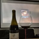 맛있는 샹볼추천과 밭 이야기 | 도멘 위들로바이에 샹볼뮤지니 Domaine Hudelot-Baillet Chambolle...