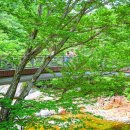 섬 낚시데크 체험 투어코리아