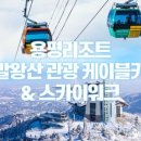 스카이닭유통 네이버블로그