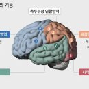 김시효의원 이미지
