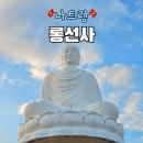 선사로 | 나트랑 롱선사 복장 시간 입장료 관광 명소 추천 후기