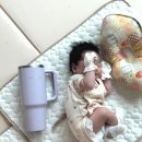 덕   봉 | 스틸덕 셀카봉 사용후기 맥세이프 튼튼한삼각대추천