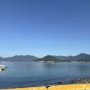 송암축산 | 25년 8월 하반기: 우리들이 여름을 즐기는 방법