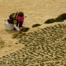 완도, 신지도 명사십리 해수욕장 이미지