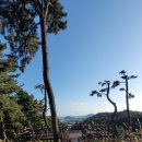 신효동-6 이미지