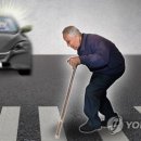 이태호자동차병원 이미지