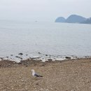 빵빵키즈풀빌라 | 대부도 빵빵키즈풀빌라 키즈인디안(5호) 후기