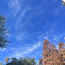 찰리당구장 이미지