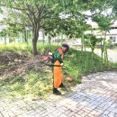 임하댐노인복지관 이미지