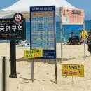 동호해변 이미지