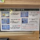 강남 키토김밥 맛집 &#34;키토분식 강남스타점&#34; 혼밥 후기