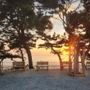 복고바다 이미지