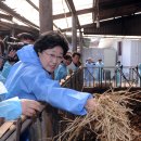 영조농장 이미지