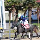 백호축산 이미지