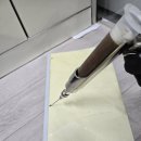 자비 | 원룸 빌라 바퀴벌레 퇴치법: 양천구 신월동 유입경로차단 현장 검증 (벌레자비 후기)