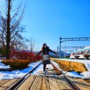 UR(춘천시)-[소양로]-상-674 | 춘천여행-혼자 당일치기 여행: 김유정역, 소양강스카이워크, 감자밭, 해삐샵