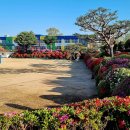 양신초등학교 이미지