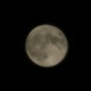 두꺼비농장 이미지