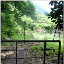 금어로2 이미지