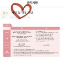 역류방지쿠션 사용법 제이앤제나 역방쿠 구매후기