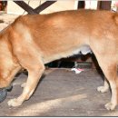 토요일오후 이미지