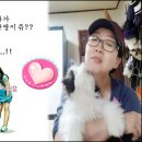 더벅머리 - 제주시 중앙로24길 13 | 더벅머리