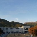 인곡관 당구장 네이버블로그