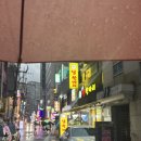 다대시장칼국수 | [서울/영등포]시원하고 얼큰한 국물이 매력적인‘정솔닭한마리’ 내돈내산 후기