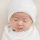 11545-09-01-08 | 2026년 08월(1) :: 성심당 하나 보고 냅다 대전으로