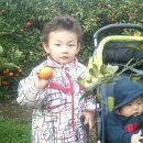 재민농장 이미지